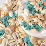 65-PIECE Assorted Natural Seashell Charms Set For Diy Jewelry Making Including Sea Turtle Pendants & Conch Shells Perfect For Ne