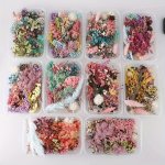 1BOX Random Variety Natural Dried Flowers Flower Branches Handmade Uv Glue Filler Handmade Resin Filler Flower Candle Mold Filli