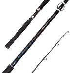Shimano Beastmaster 7FT
