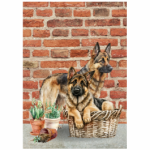 Tear Resistant Deco Print Alsatian Buddies