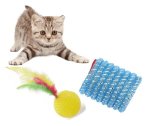 CAT Toy 2 Assorted Balls