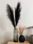 Black Pampas Artificial