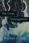 The Great Derangement - Climate Change And The Unthinkable Paperback
