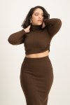 Kora Poloneck Cropped Top - Pinecone - M
