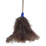 Addis - Feather Duster Extendable Handle