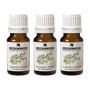 Chamomile Roman Oil 10ML Blend X 3