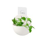 White Semi-circle Wall Mounted Hydroponic Planter