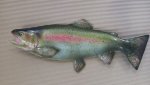 Rainbow Trout Fish Replica 62CM