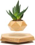 Levitating Plant Pot