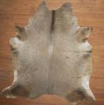 Aa Grade Cow Hide 490 Dun XXL - Extra Extra Large Dun Solid