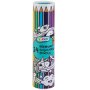 Premium Coloured Pencils 24 Pack