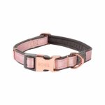 Rogz Urban Classic Xsmall Dog Collar - Pink Blush Waggs Online Pet Shop