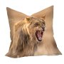 Growling Lion Panthera Leo Luxury Scatter By Fanie Heymans Large