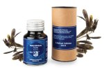 Rohrer & Klingner Ink Isatis Tinctoria