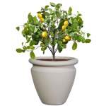 Carmen Plant Pot - 570MM X 580MM Velvet