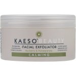 Kaeso Beauty Calming Exfoliator Sensitive Skin 245ML