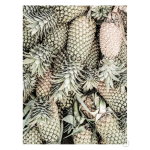 Pineapple Art Print - A2