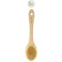 The Body Shop Cactus Brush