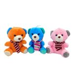 Plush Asst Colourful Scarf Bear