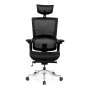 - Ergonomic Executive Office Chair