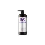 Tone&treat Silver Conditioner 1L