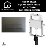 Cobra Black Square Flush Plate With Concealed Cistern