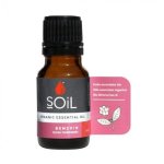 Organic Benzoin Resinoid Oil