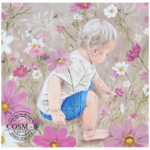 Cosmetic Cosmos Baby 15CM