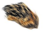 Wapsi Coyote - Xplorer Fly Fishing