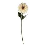 Dahlia White 16X73CM