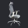 Demo Of Wp Ergonomic Adjustable Office Chair - Grey