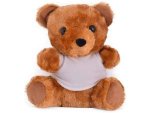 Teddy Plush Toy