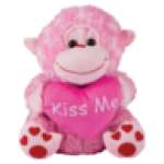 Plush Animal Holding A Heart 27CM Type May Vary