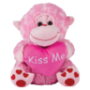 Plush Animal Holding A Heart 27CM Type May Vary