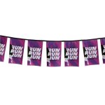 Sublimated Single-sided Polyester Rectangle Bunting 10M