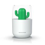 The Cactus Humidifier - 300ML