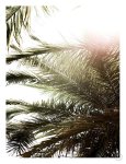 Gravity Of Greenery Art Print - A3