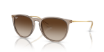 - Erika - Transparent Light Brown brown - 54