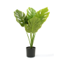 Potted Delicious Monster Faux Plant
