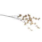 Blossom Stem 110CM - Cream