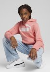Puma Ess No. 1 Logo Hoodie Fl G - Pink Fruit