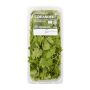 Fresh Coriander 30 G