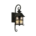 Forged Metal And Glass Outdoor Wall Light Black - Medium