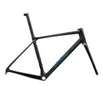 Giant Tcr Adv Pro Frameset Raw Carbon '25 - XL