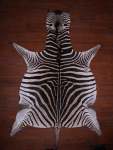 A Grade Zebra Hide 069 M