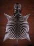 A Grade Zebra Hide 069 M