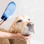 Deep Cleaning Pet Grooming Glove With Hose