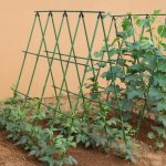 Sturdy Metal Garden Trellis Set For Climbing Plants - Perfect For Cucumbers Beans & Tomatoes - Durable Plant Support Frame