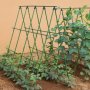 Sturdy Metal Garden Trellis Set For Climbing Plants - Perfect For Cucumbers Beans & Tomatoes - Durable Plant Support Frame