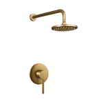 - Brass Shower Head And Mixer
